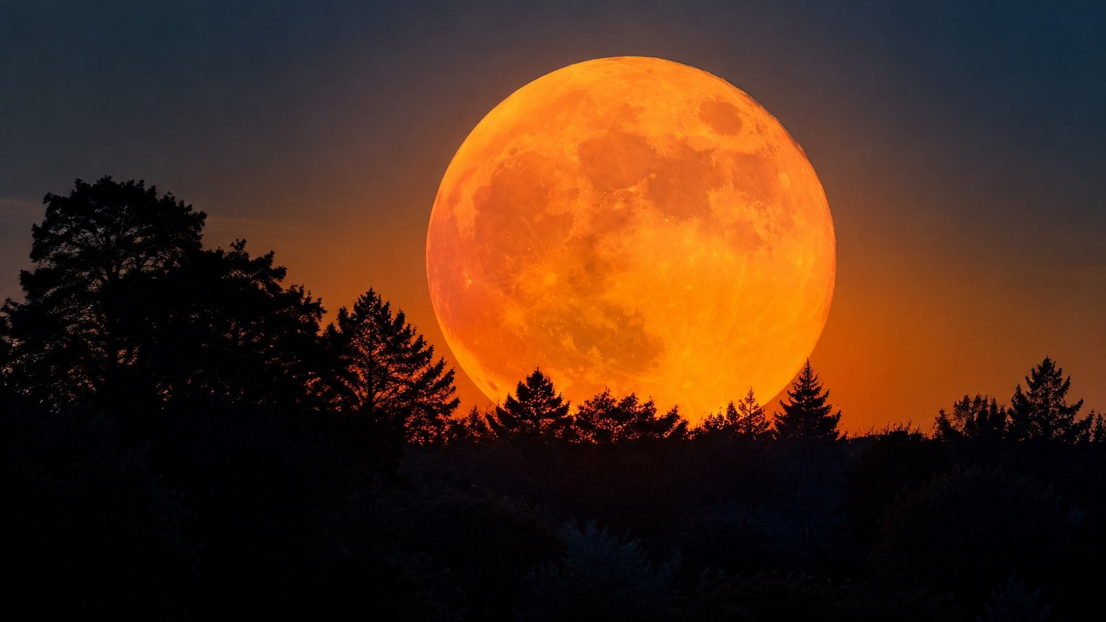 L'illusione della Luna gigante vicino all'orizzonte